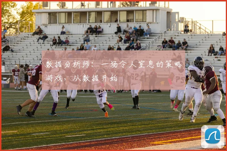 数据分析师：一场令人窒息的策略游戏，从数据开始