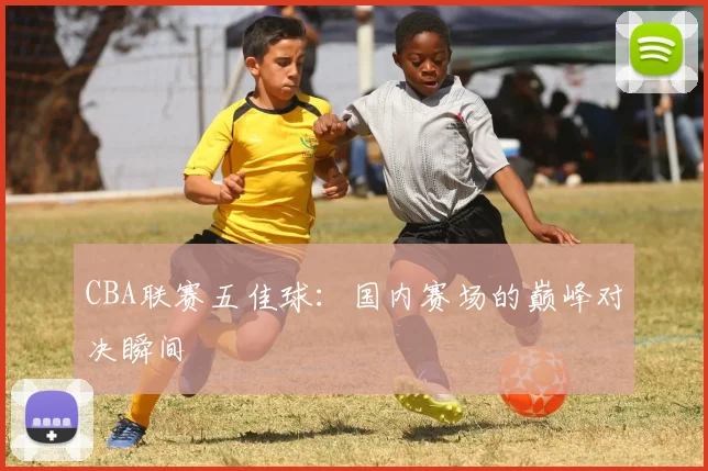 CBA联赛五佳球：国内赛场的巅峰对决瞬间