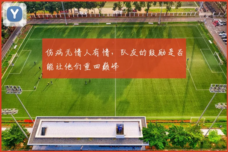 伤病无情人有情,队友的鼓励是否能让他们重回巅峰